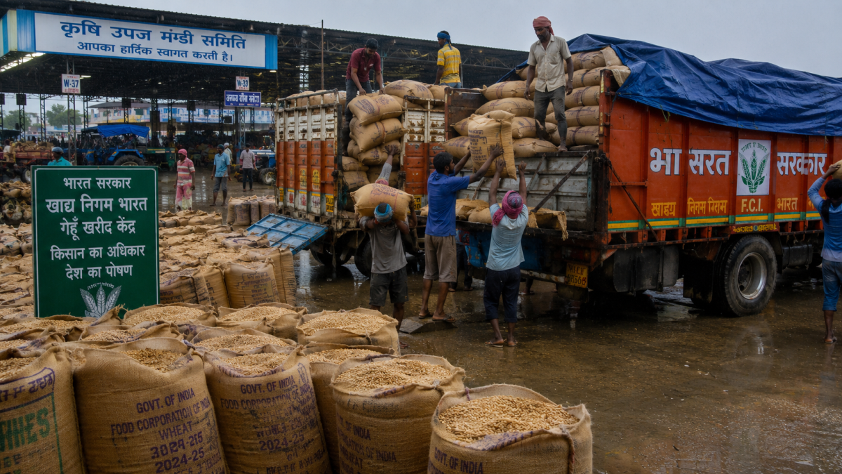 A busy Indian wholesale agricultural mandi showing bags of freshly harvested wheat grain being loaded onto trucks for government procurement during the monsoon season.