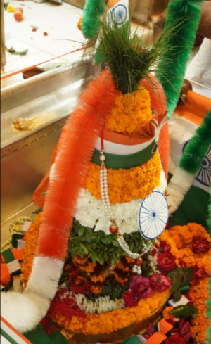 गणतंत्र दिवस के अवसर पर काशी विश्वनाथ मंदिर में विशेष सजावट।