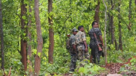 सारंडा के जंगलों में सर्च ऑपरेशन चलाते सुरक्षाबल।