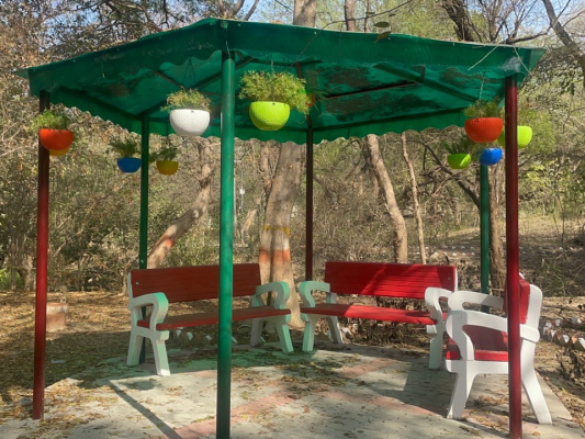 कानपुर वन विभाग कार्यालय के पास मियावाकी इको पार्क का दृश्य
