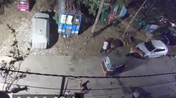 वारदात में प्रयुक्त ऑटो।