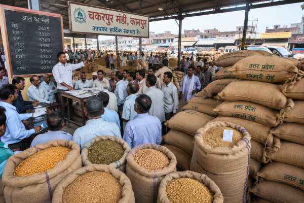 कानपुर की चकरपुर मंडी में अनाज की नीलामी और बोरियों में भरा गेहूं और दलहन।