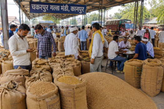 कानपुर की चकरपुर गल्ला मंडी में बोरियों में रखा गेहूं और अनाज, जहां किसान अपनी फसल बेच रहे हैं।