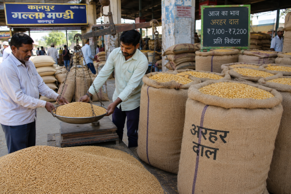 कानपुर की गल्ला मंडी में तराजू पर तौला जाता हुआ गेहूं और बोरियों में भरी अरहर की दाल.