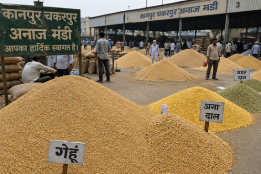 कानपुर चकरपुर अनाज मंडी में गेहूं और दालों के ढेर की फोटो
