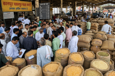 कानपुर चकरपुर गल्ला मंडी में बुधवार को अनाज और दालों की नीलामी के लिए लगी व्यापारियों की भीड़ और अनाज के बोरे।