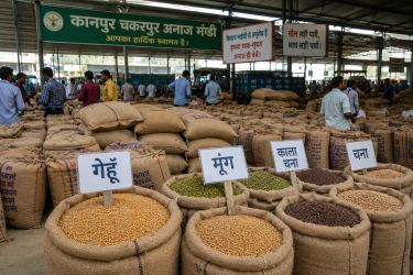 कानपुर चकरपुर अनाज मंडी में बिक्री के लिए रखी गई गेहूं और दलहन की बोरियां